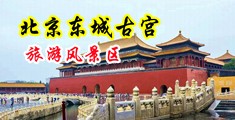 白衣少妇在厕所自慰到高潮迭起中国北京-东城古宫旅游风景区